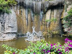-西双版纳原始森林公园