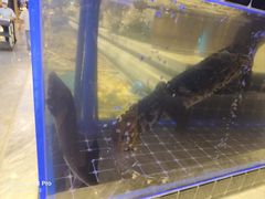 -川骄海鲜自助(河东店)