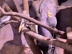 -正佳雨林生态植物园