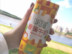-丁香湖公园