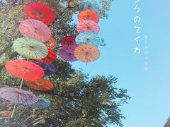 -常德桃花源景区