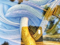 -铜元老码头鳝鱼火锅