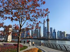 -上海港国际客运中心