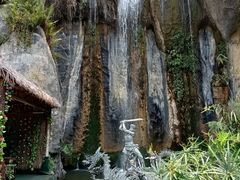 -西双版纳原始森林公园