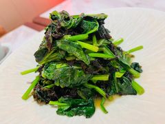 -喜鼎海胆水饺(平安金融中心店)
