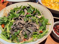 -玖五京菜(杭州城北万象城店)