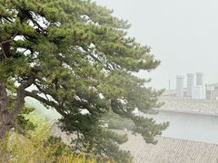 -妙峰山风景名胜区