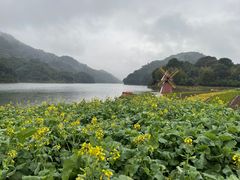 -广州市石门国家森林公园