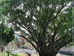 -四海公园(南山区)