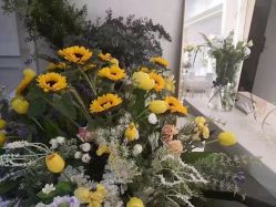 -帆拉斐婚纱摄影(春熙店)