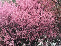 -螃蟹岬(地铁站)