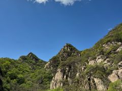 -大岭沟猕猴桃谷风景区