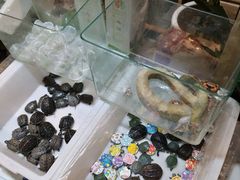 -双季花艺园艺市场(浦东店)