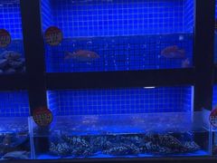-徐记海鲜(大雁塔|金都店)