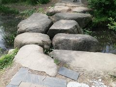 -新江湾城公园
