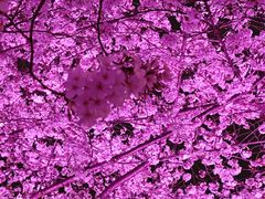 -西北湖绿化广场