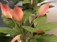 -百富源·海鲜辽菜(和平北大街店)