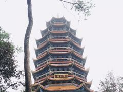 -铁山坪森林公园