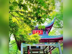 -岳麓山风景名胜区