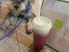 -奈雪的茶(石家庄万象城店)