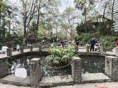-成都市活水公园