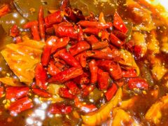 鸭血肥肠-金蝉食府(维吉奥广场店)