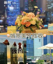 -巍阁高端月子会所