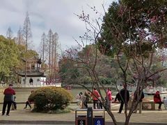 -汇龙潭