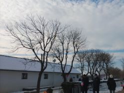 -优沃得自然教育农场·冰雪乐园·生日会·研学