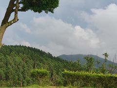 -田园寨农园观光园