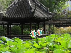-上海醉白池公园