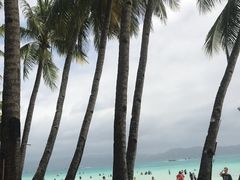 -白沙滩