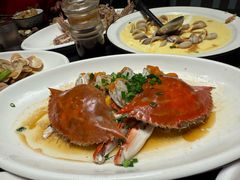 -金海湾海鲜排档(朱家尖店)