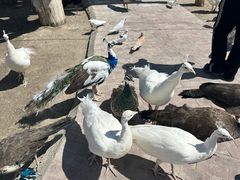 -水上乐园·欢乐世界