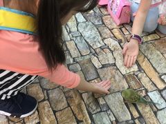-上海大自然野生昆虫馆(东方明珠·爬宠昆虫探索中心)