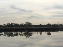 -西青郊野公园