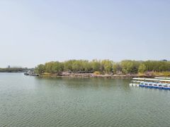 -大兴滨河森林公园