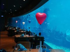 -海棠湾洲际-涛·海底餐厅·美人鱼·自助餐·海底隧道