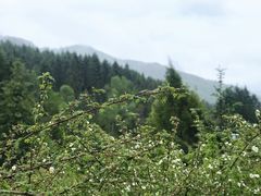 -硗碛藏寨·神木垒景区