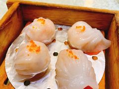 -龙悦湾酒家·八阵鱼生·渔人码头店
