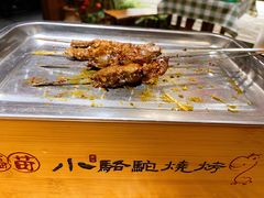 -福苗小骆驼烧烤(莲湖路店)