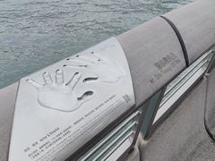 -星光大道