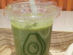 -油梨树 AVOCADO TREE(亮马桥店)