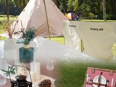 -南宁良凤江国家森林公园