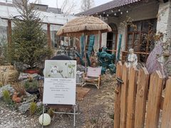 -Jo's Garden