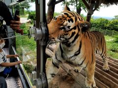 -西安秦岭野生动物园