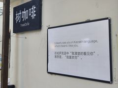 -树咖啡tree coffee