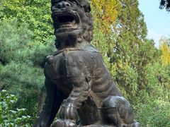 -莲池书院博物馆