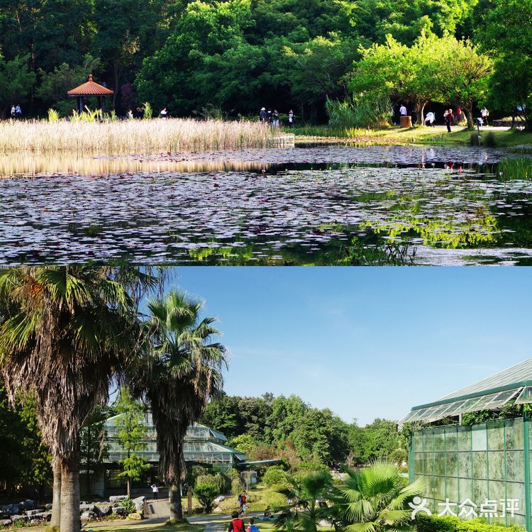 📍 华南植物园攻略｜✔️附详细路线图