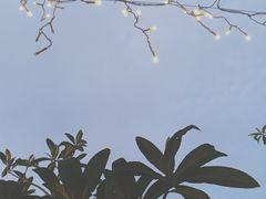 -胡桃里乐队酒馆(昙华林店)